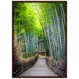The Arashiyama Bamboo Grove