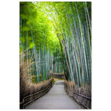 The Arashiyama Bamboo Grove
