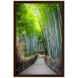 The Arashiyama Bamboo Grove