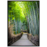 The Arashiyama Bamboo Grove