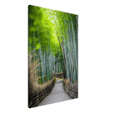 The Arashiyama Bamboo Grove