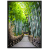 The Arashiyama Bamboo Grove