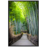 The Arashiyama Bamboo Grove