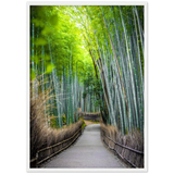 The Arashiyama Bamboo Grove
