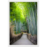 The Arashiyama Bamboo Grove