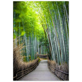 The Arashiyama Bamboo Grove