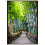 The Arashiyama Bamboo Grove