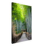 The Arashiyama Bamboo Grove