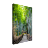The Arashiyama Bamboo Grove