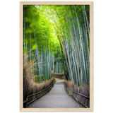 The Arashiyama Bamboo Grove