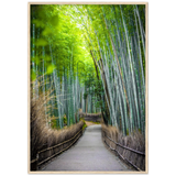 The Arashiyama Bamboo Grove