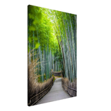 The Arashiyama Bamboo Grove