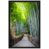 The Arashiyama Bamboo Grove