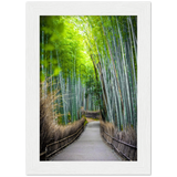 The Arashiyama Bamboo Grove