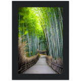 The Arashiyama Bamboo Grove