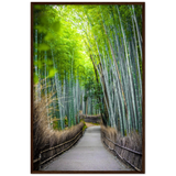 The Arashiyama Bamboo Grove