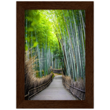 The Arashiyama Bamboo Grove