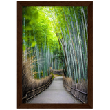 The Arashiyama Bamboo Grove