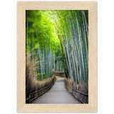 The Arashiyama Bamboo Grove