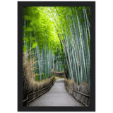 The Arashiyama Bamboo Grove