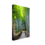 The Arashiyama Bamboo Grove