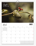 March Calendar