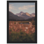 Serenity Framed Print