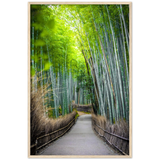 The Arashiyama Bamboo Grove