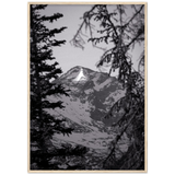 Rocky Mountain Framing
