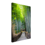 The Arashiyama Bamboo Grove