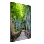 The Arashiyama Bamboo Grove