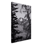 Rocky Mountain Framing Canvas