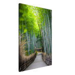 The Arashiyama Bamboo Grove