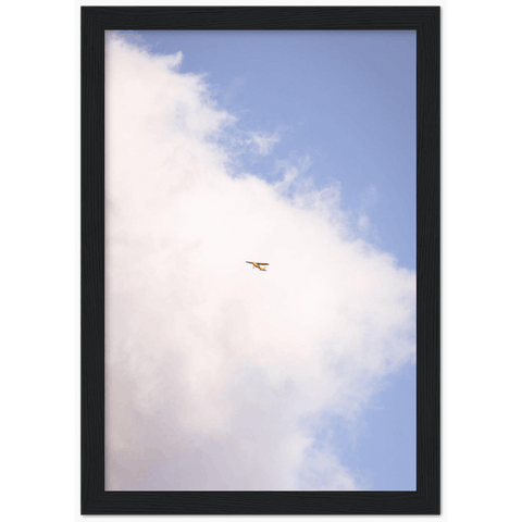 First Flight Framed Print