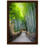 The Arashiyama Bamboo Grove